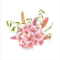 Floral composition of hydrangea, dried lagurus, wild oats. Watercolor illustration of flower, greenery. vector