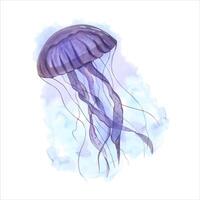 Violet jellyfish with long poisonous tentacles. Floating medusa on blue. Watercolor illustration. Poisonous sea animals. Undersea fish. For aquarium design, logo, label vector