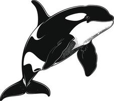 ai generado silueta el orca o asesino ballena negro color solamente vector