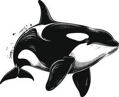 ai generado silueta el orca o asesino ballena negro color solamente vector