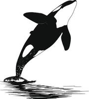 ai generado silueta el orca o asesino ballena negro color solamente vector