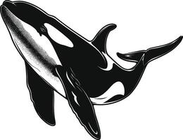 AI generated Silhouette the orca or killer whale black color only vector