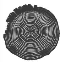 AI generated Silhouette Tree rings wood black color only vector