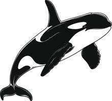 AI generated Silhouette the orca or killer whale black color only vector