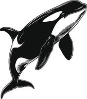 ai generado silueta el orca o asesino ballena negro color solamente vector