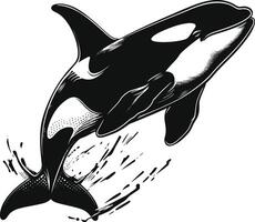 AI generated Silhouette the orca or killer whale black color only vector