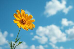 AI generated Yellow flower against blue sky with clouds photo