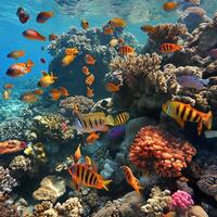 AI generated Red Sea coral reef and fish photo