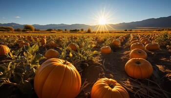 AI generated Autumn sunset, pumpkin harvest, glowing lantern, vibrant landscape, rural celebration generated by AI photo