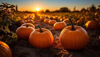 AI generated Pumpkin lantern glows in spooky autumn sunset, celebrating Halloween season generated by AI photo