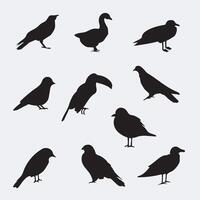 10 bird silhouette premium collection vector