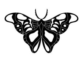 Monochrome monarch butterfly. Hand drawn insect. Vector illustration