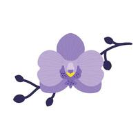 Hand drawn purple orchid flower with branch. Flat style. Vector illustration