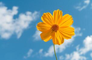 ai generado amarillo flor en contra cielo foto