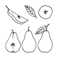 Set of monochrome pears in doodle style. Vector linear isolated elements on a white background.