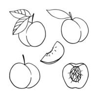 Set of monochrome peaches in doodle style. Vector linear isolated elements on a white background.
