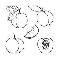 Set of monochrome peaches in doodle style. Vector linear isolated elements on a white background.