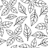 Seamless doodle basil pattern. Texture for textile, paper, wallpaper. Vector illustration isolated on white background.