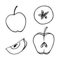 Set of monochrome apples in doodle style. Vector linear isolated elements on a white background.