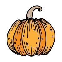 Pumpkin icon. Vector illustration of a pumpkin. Hand drawn pumpkin.