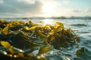 AI generated Illuminated seaweed at dawn photo