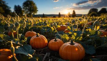 AI generated Pumpkin, nature, autumn, Halloween, agriculture, season, farm, October, leaf, vegetable generated by AI photo