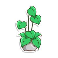 Home plant cartoon style. potted plant isolated on white vector