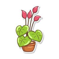 Home plant cartoon style. potted plant isolated on white vector