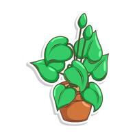 Home plant cartoon style. potted plant isolated on white vector