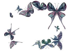 mano dibujado acuarela ilustración mariposa hada alas joya cristal insecto polilla. turmalina perla labradorita ópalo. horizontal marco aislado en blanco antecedentes. diseño impresión comercio, boda, cumpleaños vector