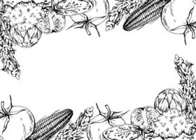 mano dibujado tinta vector ilustración, Cocinando maceta cerámica vegetal estofado maíz maíz quinua, sur americano cocina horizontal marco aislado blanco antecedentes. diseño viajar, vacaciones, folleto, impresión
