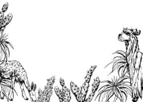 Hand drawn ink vector illustration, nature desert plant succulent cactus aloe agave, llama alpaca wool animals. Horizontal frame isolated on white background. Design travel, vacation, brochure, print