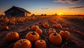 ai generado calabaza cosecha, otoño atardecer, rural escena, escalofriante linterna decoración generado por ai foto