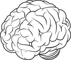 vector drawing of a brain without background