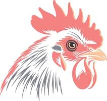 vector illustration of a rooster without background