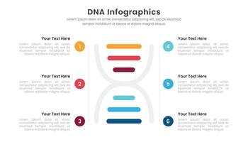 DNA Infographic template design vector