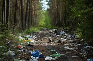 AI generated Trash scattered along forest path photo