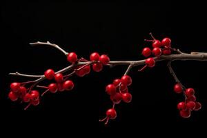 AI generated Vivid Red berries branch fall. Generate Ai photo