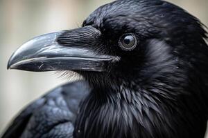 AI generated Glossy Raven closeup corvus. Generate Ai photo