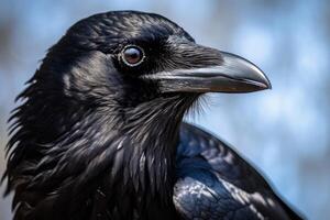 AI generated Majestic Raven bird fly. Generate Ai photo