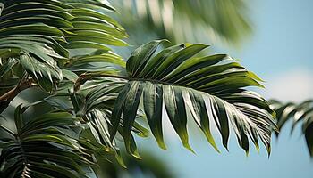 ai generado un vibrante tropical bosque con verde palma arboles y vistoso hojas generado por ai foto