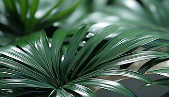 AI generated Fresh green leaves pattern on a tropical palm tree branch generated by AI photo