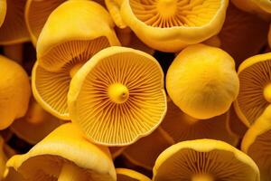 AI generated Yellow macro fresh mushroom. Generate Ai photo