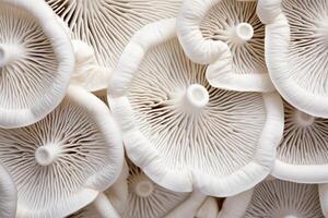 AI generated White macro mushrooms food. Generate Ai photo