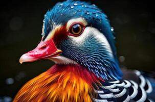 AI generated Elegant Mandarin duck. Generate Ai photo