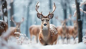 ai generado linda ciervo en pie en nieve, mirando a cámara en invierno generado por ai foto