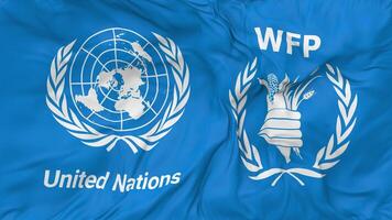 monde nourriture programme, wfp et uni nations, ONU drapeaux ensemble sans couture boucle arrière-plan, en boucle bosse texture tissu agitant lent mouvement, 3d le rendu video