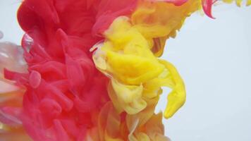 Super slowmotion shot of color powder explosion isolated video