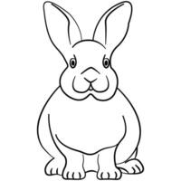 Illustrated rabbit outline. Rabbit line art. Drawing of rabbit outline illustration for coloring page. vector