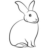 Illustrated rabbit outline. Rabbit line art. Drawing of rabbit outline illustration for coloring page. vector